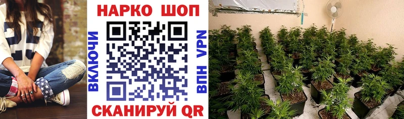 Альфа ПВП Южа