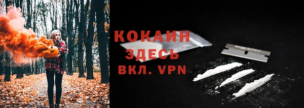 дмт Кодинск