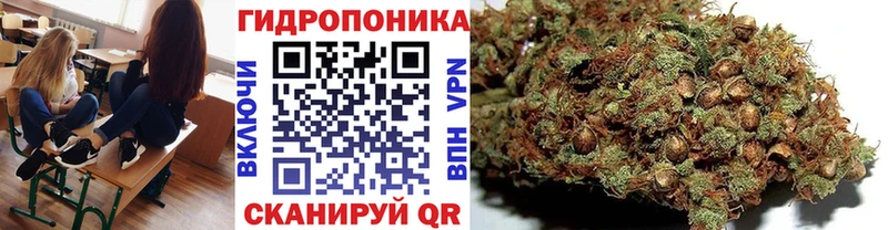 где можно купить Южа Каннабис ГИДРОПОН